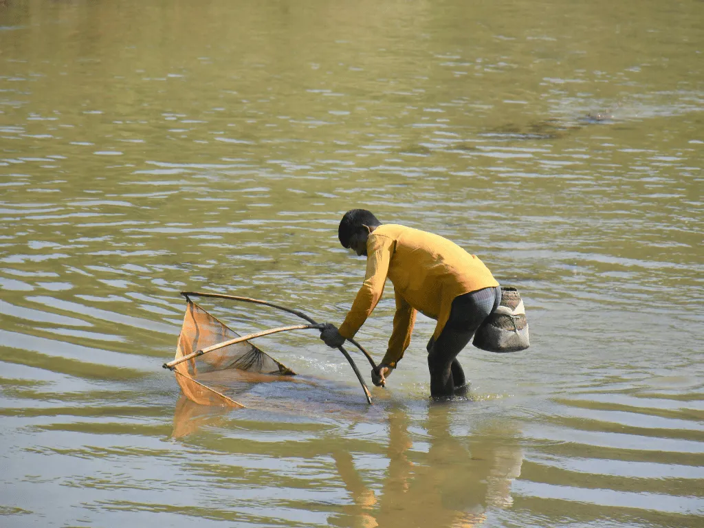 NGO gallery image 10